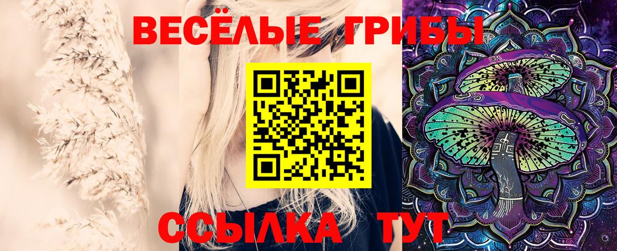 Галлюциногенные грибы Psilocybine cubensis Медногорск