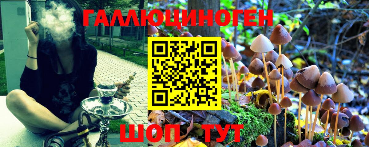 Псилоцибиновые грибы мицелий  Галлюциногенные грибы Cubensis  Медногорск  Вход с VPN 